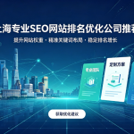 上海专业SEO网站排名优化公司推荐